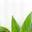 Sustainability leaf icon